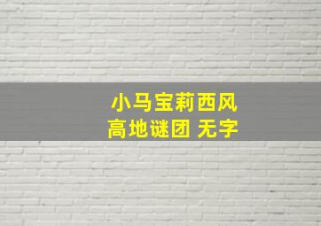 小马宝莉西风高地谜团 无字